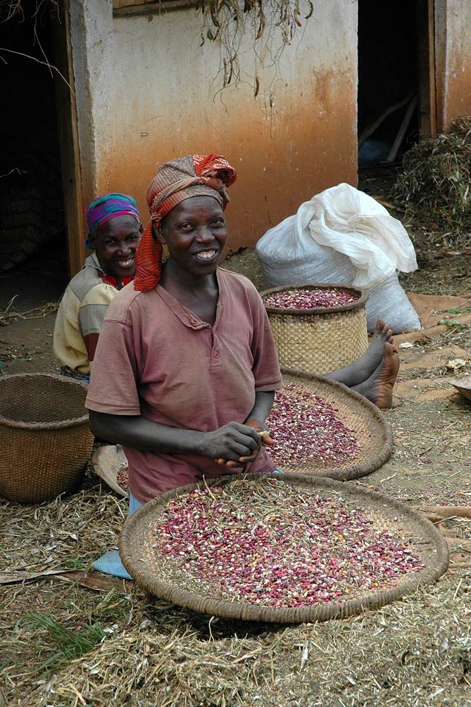 Some of the People Who Built the School